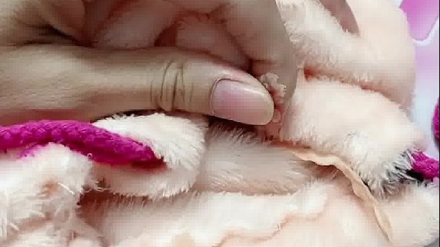 总有人问我怎么剪指甲，这么详细的剪指甲教程，还有人学不会的嘛