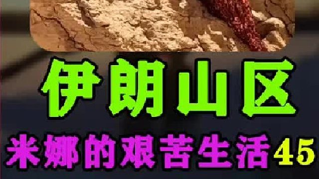 建房大哥又来帮助米娜建造小屋  (1)