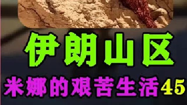 建房大哥又来帮助米娜建造小屋  (3)