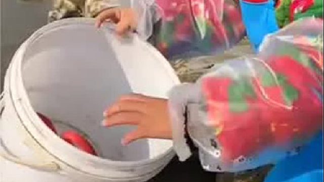 户外赶海抓海鲜