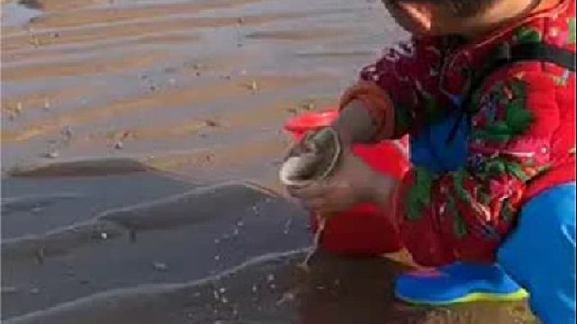 赶海赶海赶海啦