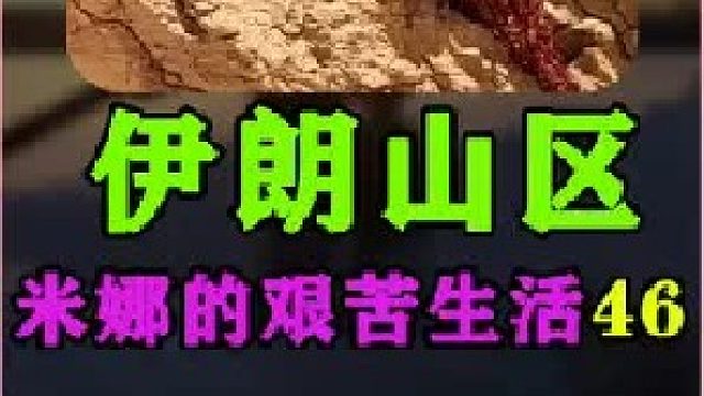 米娜建造了两个小木桥  (3)