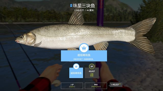 惊喜总在不期而遇