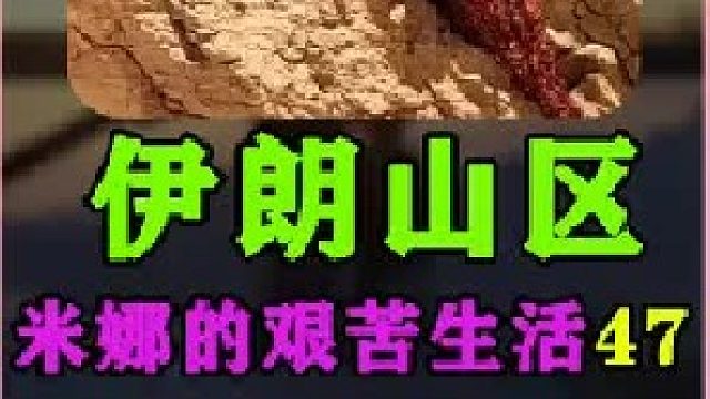 建房大哥又来帮米娜建造小屋了  (1)