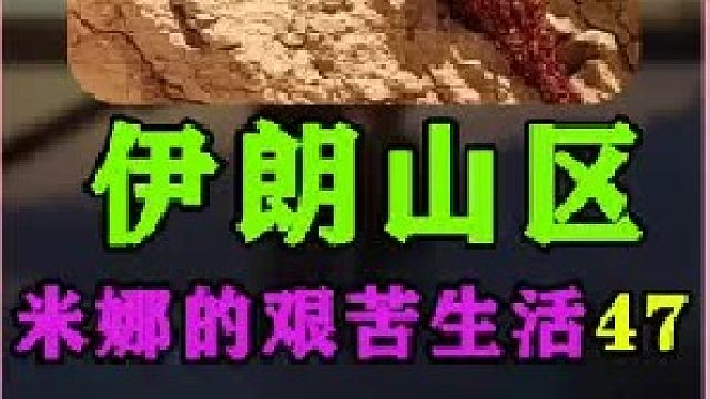 建房大哥又来帮米娜建造小屋了  (2)