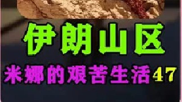 建房大哥又来帮米娜建造小屋了  (3)