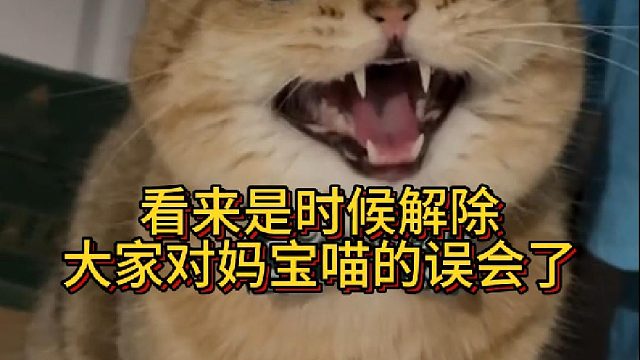 看来是时候解除大家对妈宝喵的误会了