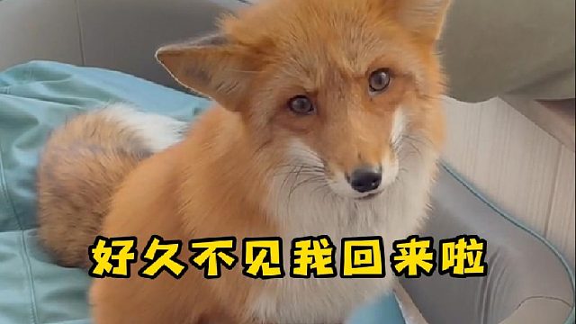 好久不见我回来啦