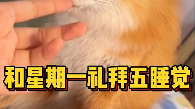 和星期一礼拜五睡觉