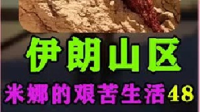 建房大哥帮助米娜把小木桥安放在了小河上  (2)