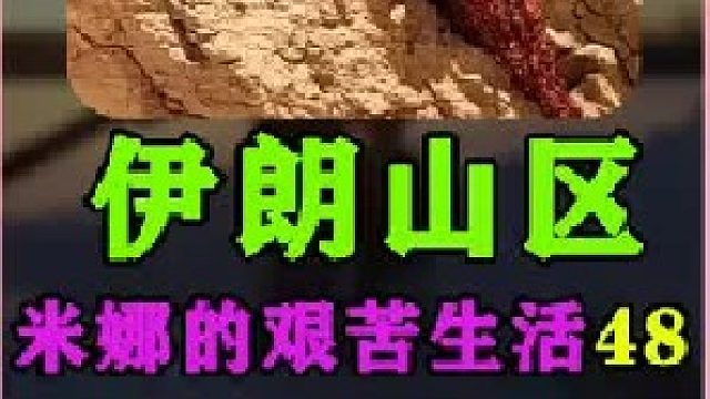 建房大哥帮助米娜把小木桥安放在了小河上  (3)