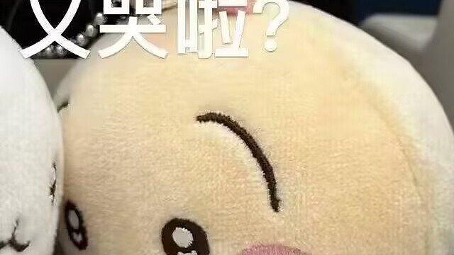 17三鸽启动一哈