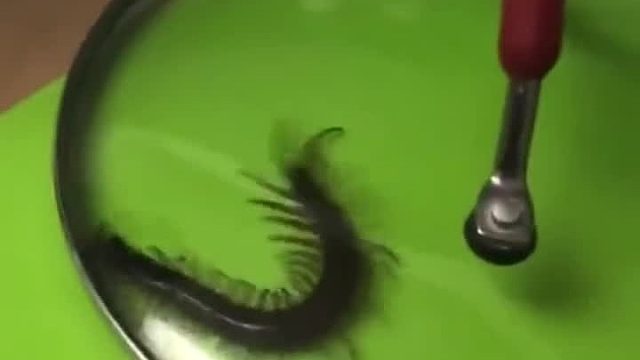 怎么办？在线等，很急！