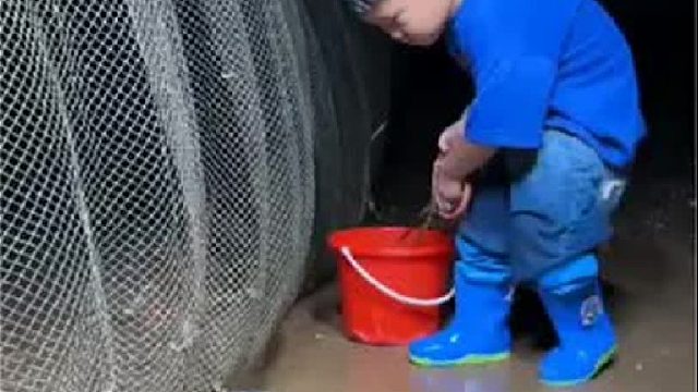 户外赶海抓海鲜