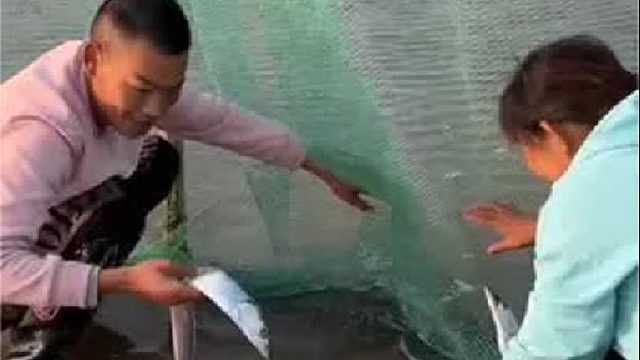 赶海赶海赶海啦