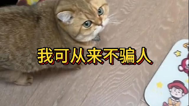 我可从来不骗人(1)