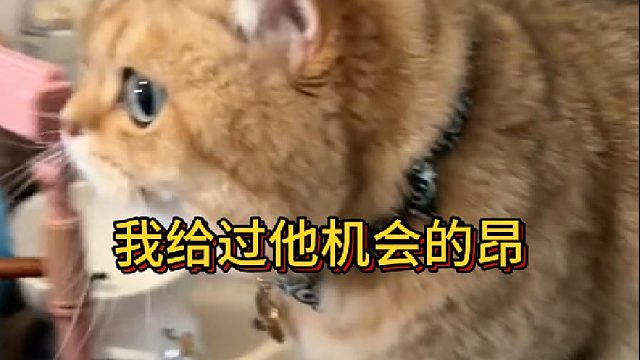 我给过他机会的昂是他要在那装宝宝的(1)