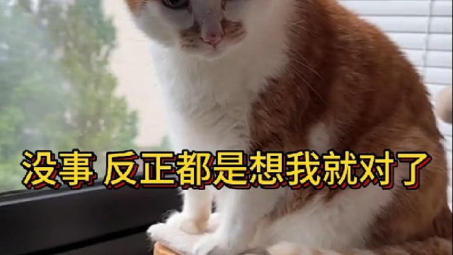 没事反正都是想我就对了(1)