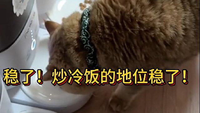 稳了！炒冷饭的地位稳了！(1)