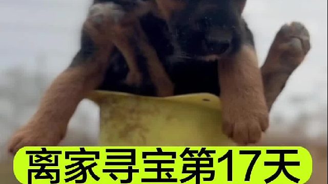 离家寻宝的第17天我们穿越隧道去寻找身世之谜