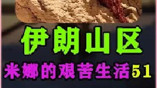 伊朗女人最新进展米娜教孩子们刷牙给孩子们洗衣服   (1)