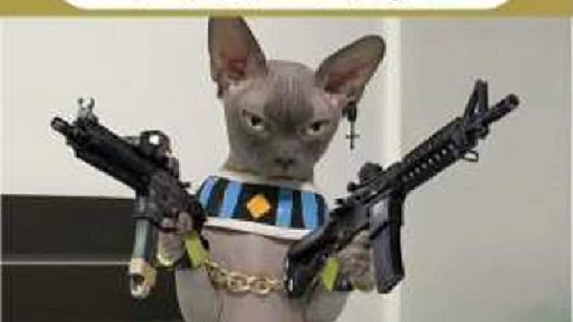 64. 笑死，网友们太会爆料了