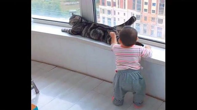 57. 再能打的喵星人，遇上熊孩子也没辙，心疼猫咪三秒