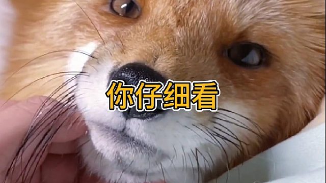 今天又从我眼里看到了什么