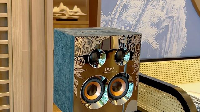 当音乐响起的那一刻，绝了，沉浸式享受DOSS乐宴全景声音效