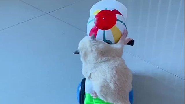 算了，我还是自己走吧～