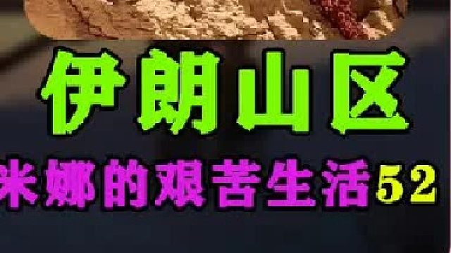 米娜带3娃后续米娜用油锯去山上收集木材  (2)