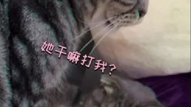 61. 我把你从噩梦中叫醒，你却给我一巴掌？