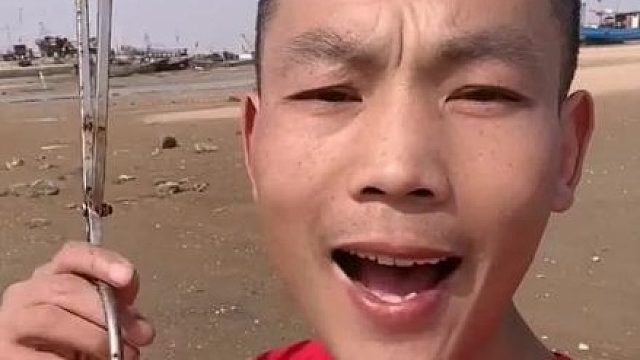 户外赶海抓海鲜