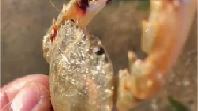 赶海赶海赶海啦