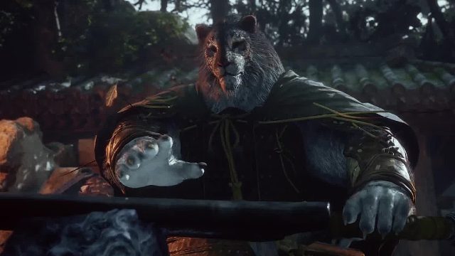 寅虎：你TM怎么又来了