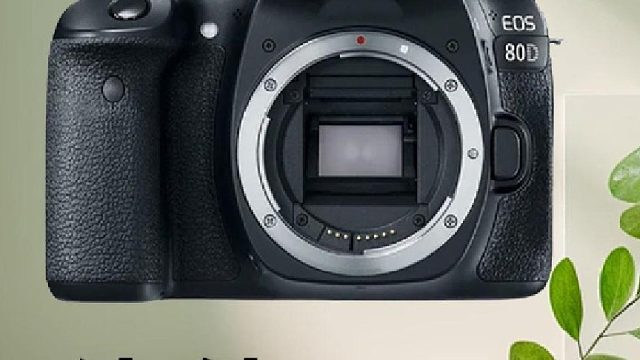 佳能80D保姆级教学