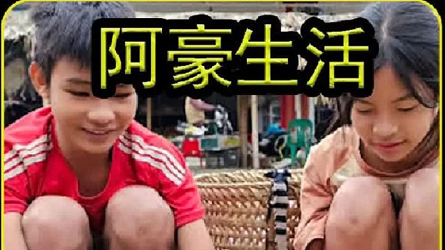 在山坡上发现一片绿色的植株 (1)