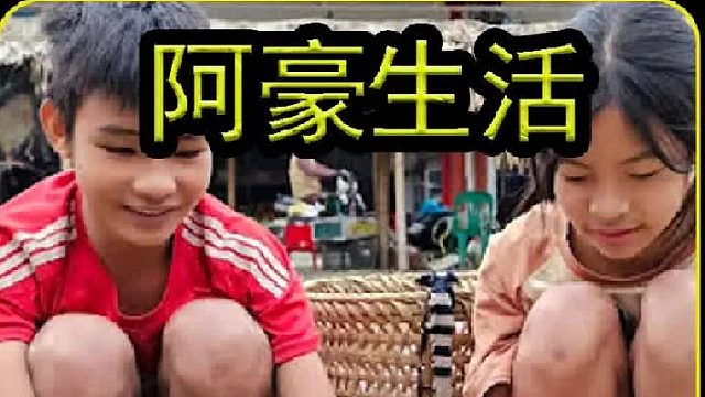 在山坡上发现一片绿色的植株 (2)