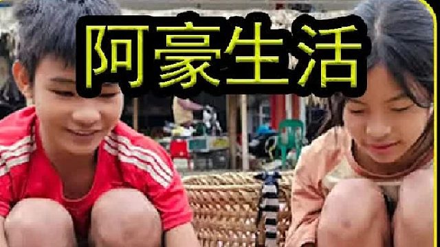 在山坡上发现一片绿色的植株 (3)