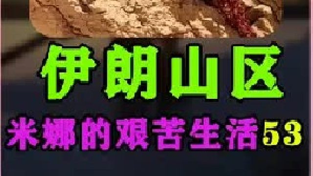 伊朗女人米娜建造一个不知名小井  (1)