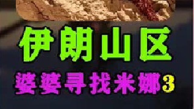 米娜婆婆手被蝎子蛰了