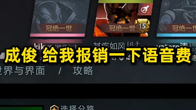 给我报销一下语音费