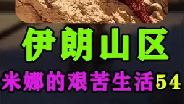 伊朗女人米娜最新进展建房大哥又来帮忙建造小屋  (1)