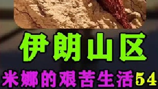 伊朗女人米娜最新进展建房大哥又来帮忙建造小屋  (2)