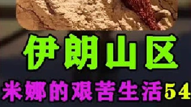 伊朗女人米娜最新进展建房大哥又来帮忙建造小屋  (3)