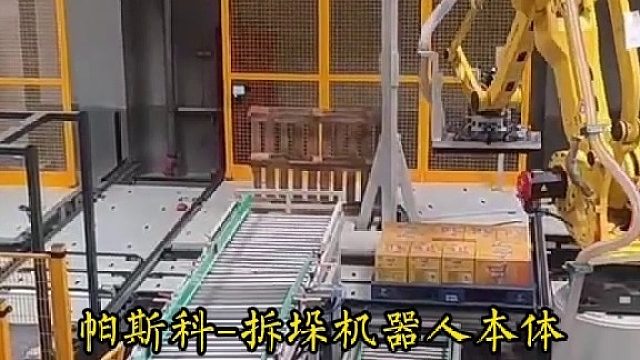 帕斯科纸箱卸垛机器人本体