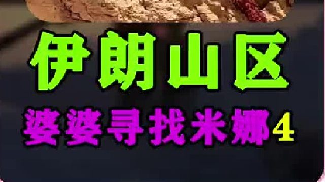 米娜婆婆寻找孙子