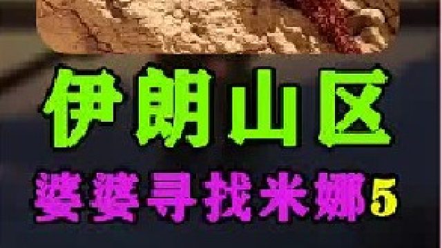 婆婆寻找米娜一家有了新发现