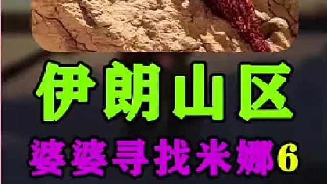 米娜老公带二老婆回到了婆婆家 被家人赶出去了