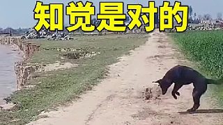 直覺是對的